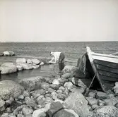 Södra Greda fiskeläge, fredag 28/10 1960.