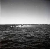 Oljehamnen i Färjestaden, oktober 1957.