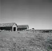 Hallnäs fiskeläge i Persnäs.