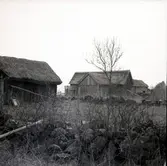 Sandby sjöbodar, 8/5 -62.