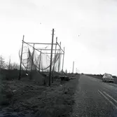 Fisknät upphängda vid Böda fiskehamn 9/11 1961.