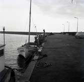Båtar i Böda fiskehamn 9/11 1961.