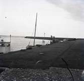 Båtar i Böda fiskehamn 9/11 1961.