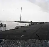 Båtar i Böda fiskehamn 9/11 1961.