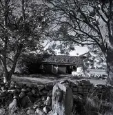 Arvidssons i Mörby. Sommarstuga, exteriör, den 24/9 1961.