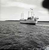 M/S Nordpol den 16/6 1958.