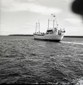 M/S Nordpol den 16/6 1958.