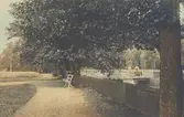 Vykort med motiv från Badparken, Nybro.