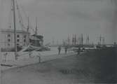 Drivis i Ölandshamnen den 18 maj 1889.