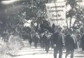 Demonstration under Södra Möre-konflikten 1929-31, den sista konflikten om föreningsrätt i Sverige. Demonstrationen utgick från stationen i Ljungbyholm dit det gick gratiståg från Kalmar.