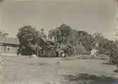 Vy från Källtorps gård med mangårdsbyggnaden, statarstuga och brygghus.