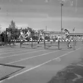 Friidrott: Amerikaspel, Eyravallen 1948
.