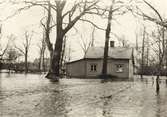 Den kraftiga vårfloden vid Ljungbyholm och Hossmo våren 1929.