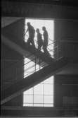 Ekensbergs varv 1969; varvsarbetare i stora plåthallen på väg upp till övre våningsplanet