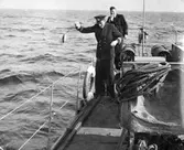 Livet ombord. Slänger en fisk överbord