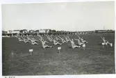 Gymnastikuppvisning på Fredrikskans 1930-40.