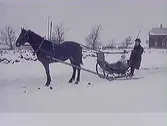 Häst och släde. Snöbild. Bilden är tagen mot väster. Till höger i bild syns den sk Hejllska villan i Södra Villastaden i Varberg. Stadsfiskalen Samuelsson, första ägare till villan, styr släden där ett av hans barn sitter nedbäddat.