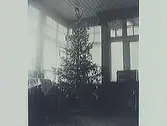 Julgran i Barres villa, Varberg, kv Bomlyckan, Rosenfredsgatan 1, Södra villastaden. Fotograferat på 1910-talet.