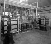 Bildserie från Karlstadsortens mejeriförening tagen 1937.