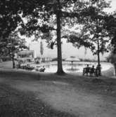 Underhållning vid fågeldammen i Huskvarnas Folkets park.