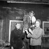 Nya ridhuset (ridskola).
15 september 1955.