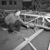 Baronbackarna.
24 september 1955.