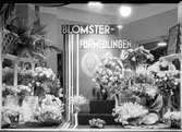 Blomaffären Bellis skyltfönster år 1933.