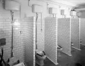 Skoltoalettstandard år 1931. Bilden togs för Wennbergs rörfirmas räkning.