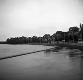 Flaggparad i stråket till museet i samband med öppningen av den Ibero-Amerikanska arkitekturutställningen sommaren 1946.