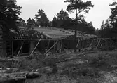 Friluftsteatern i  Mariebergsskogen uppförs 1942.