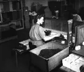 Bild från Svenska Tobaksmonopolets fabrik i Arvika tagen år 1946.