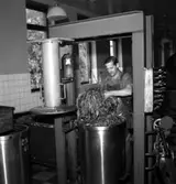 Bild från Svenska Tobaksmonopolets fabrik i Arvika tagen år 1946.