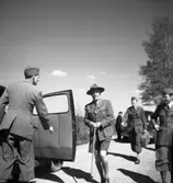 Greve Folke Bernadotte på en bild från 1946.