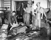 Fiskcentralen år 1946.