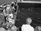 Bildserie från slutet av 1930-talet från Karlstads dåvarande simstadion. Anläggningen låg i anslutning till den s k badholmens östra sida söder om Kanikenäset. Badet invigdes 1923 och togs ur bruk och revs 1943 pga dålig vattenkvalité. En liknande konstruktion som ersatte den på bilderna byggdes upp i Örsholmstjärnet i början av 1950-talet.