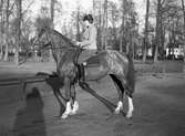 Fru Hultkrantz till häst i utkanten av Våxnäsparken år 1938.