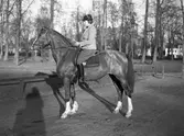 Fru Hultkrantz till häst i utkanten av Våxnäsparken år 1938.