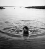 Sköna dagar på stranden, i Vänern eller vid tältet den sista sommaren före kriget, här Alsters strandbad.