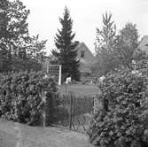 Bild tagen en majdag i Karlstad året 1949 troligen från stadsdelen Sjöstad.