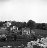 Villor på Lamberget år 1949.