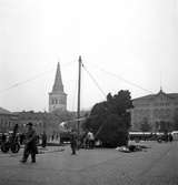 Granresning på torget i mitten av 1950-talet.