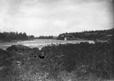 Edeforsen  Ede, Järvsö med Spinneriet, nedbrunnet ca 1918.