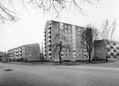 Serie med Karlstadbilder tagna under första halvan av 1960-talet. Åttkantsgatan i Haga