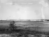 Uddeholm AB:s brädgård på Vidön totalförstörs av eld den 3 juli 1923. Ett tusental man deltar i släckningen som omfattar en yta av 400x500m. Försäkringsvärdet är 4 miljoner, omräknat till dagens (2013) belopp motsvarar det 105 miljoner.