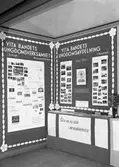 Karlstads föreningar, kyrkosamfund, scoutkårer med flera, inriktade på ungdomar, mobiliserar och informerar om sin verksamhet vid en utställning år 1941.