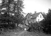 Bergviks gård 1914.
