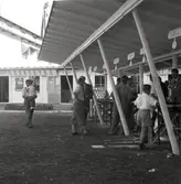 Bild från utställningen 