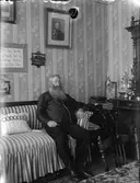 Man med ståtligt skägg
