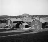 Björs Stene i Järvsö.