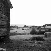 Vy från Vik, Järvsö socken.